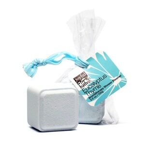 Eucalyptus Thyme - Aromatherapy Shower Steamer - NEW WITH TAGS